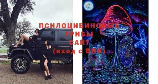 Альфа ПВП Беломорск