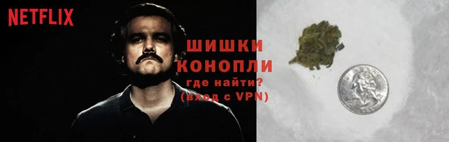 Альфа ПВП Беломорск