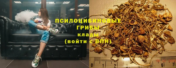 сатива Белокуриха