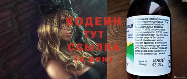сатива Белокуриха