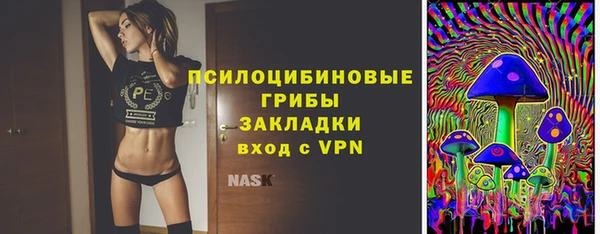 сатива Белокуриха